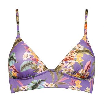 Dreamscape Tropics Bikinitop