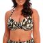 Fantasie Swim Cabo Verde Halter Bikinitop Cactus