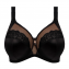 Elomi Lingerie Cate Allure Beugel BH Black