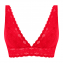 Wacoal Halo Lace Bralette Equestrian Red 