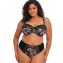 Elomi Lingerie Morgan Tailleslip Summer Garden