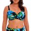 Fantasie Swim Talm Beach Full Cup Bikinitop Black