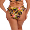 Elomi Badmode Tiger Valley Bikinibroekje Black